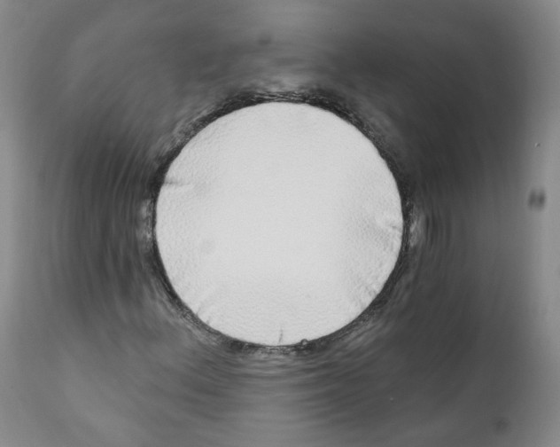 X0000112361156200909101249