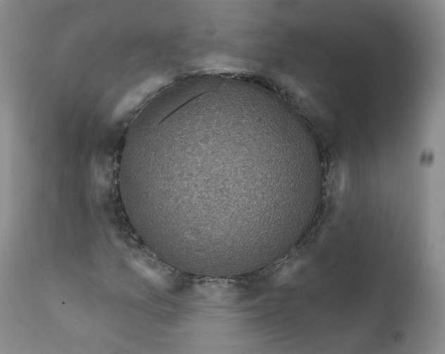 X0000112361157200909101249