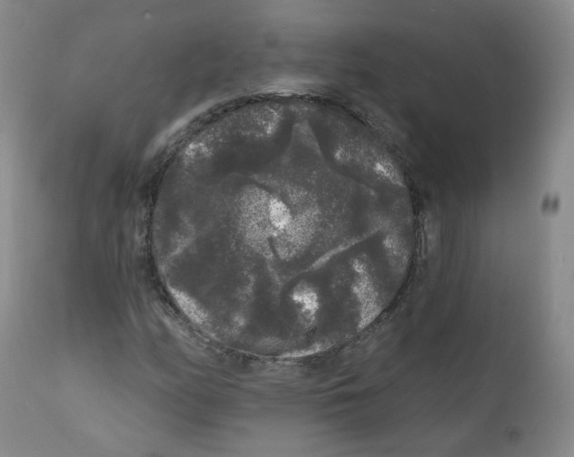 X0000112361158200909101249
