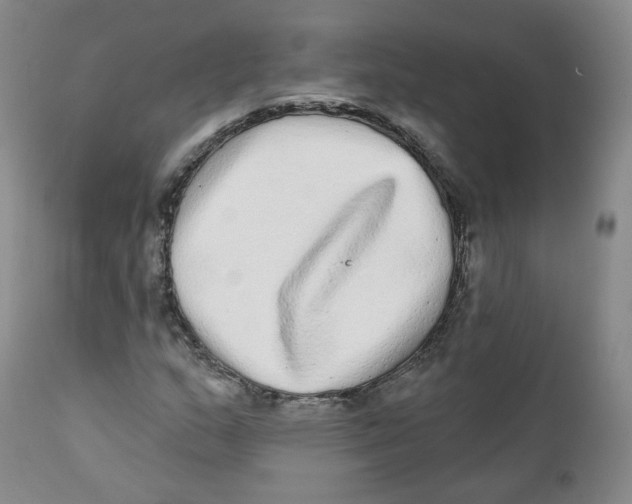 X0000112361159200909101249