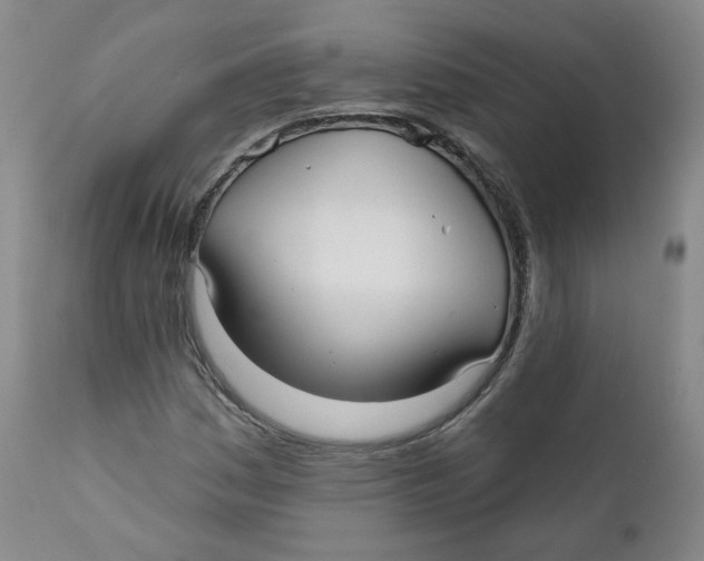 X0000112361161200909101249