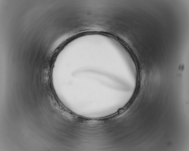 X0000112361163200909101249