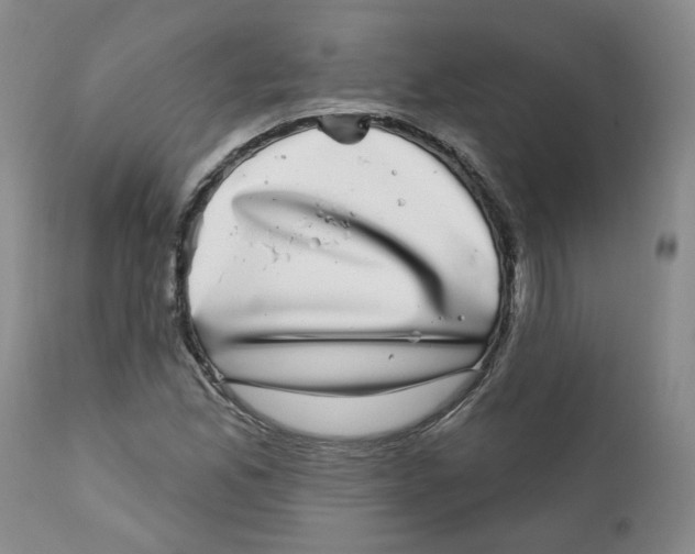 X0000112361165200909101249