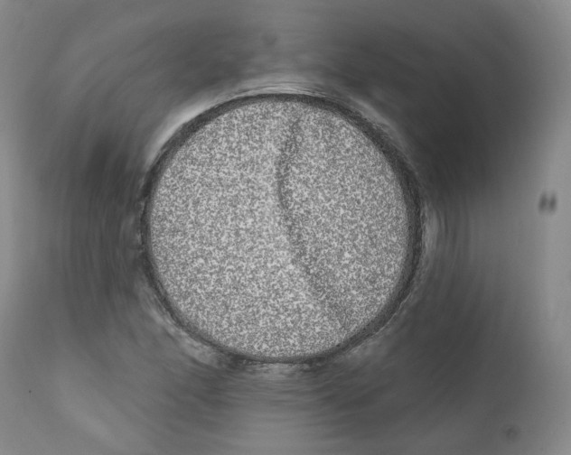 X0000112361166200909101249