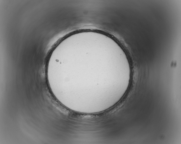 X0000112361167200909101249