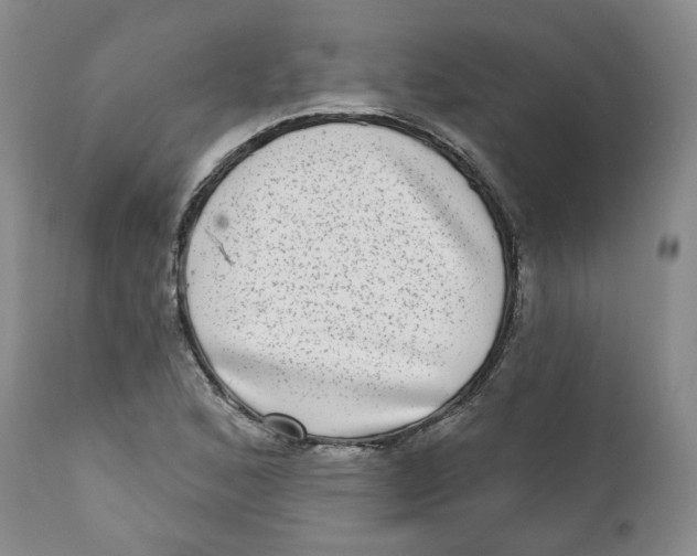 X0000112361168200909101249