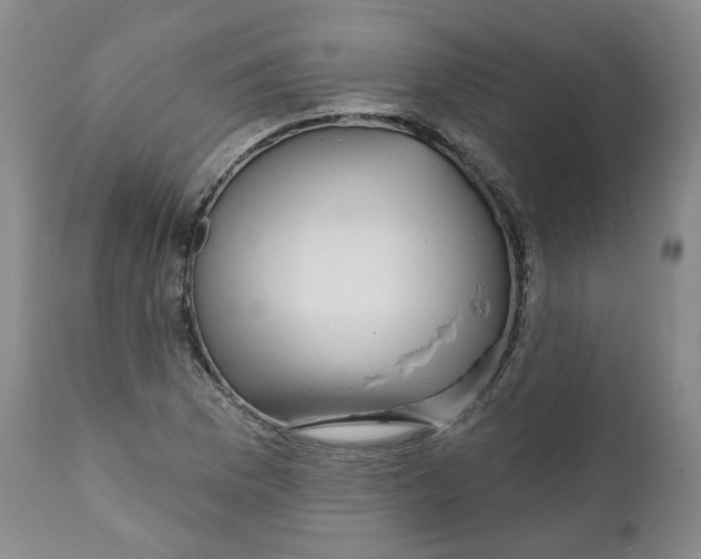 X0000112361169200909101249