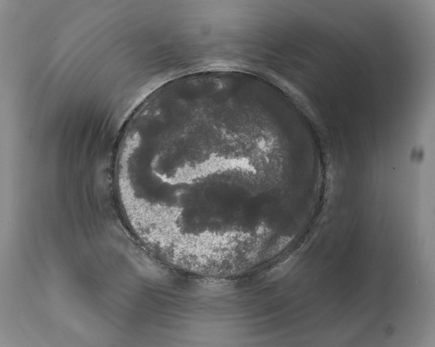 X0000112361170200909101249
