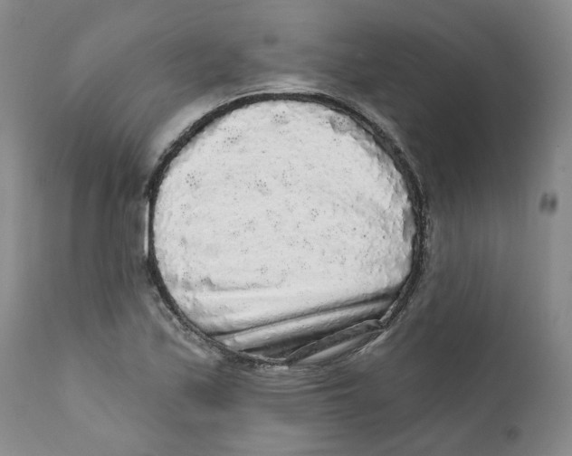 X0000112361171200909101249