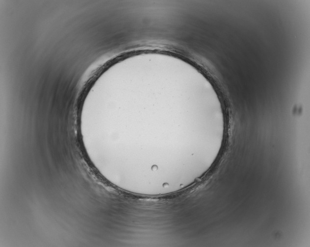 X0000112361172200909101249