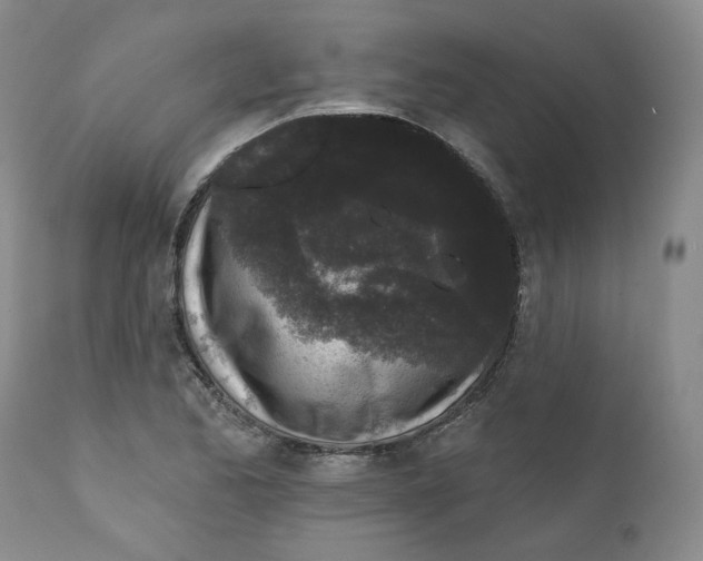 X0000112361173200909101249