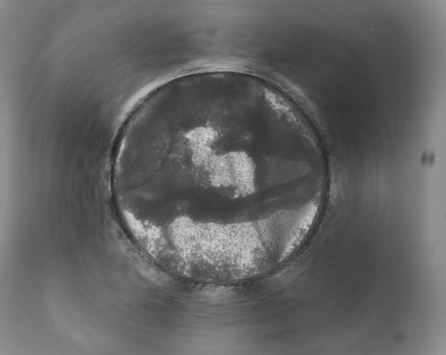 X0000112361174200909101249