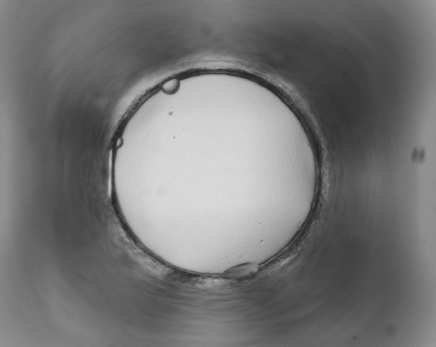 X0000112361175200909101249