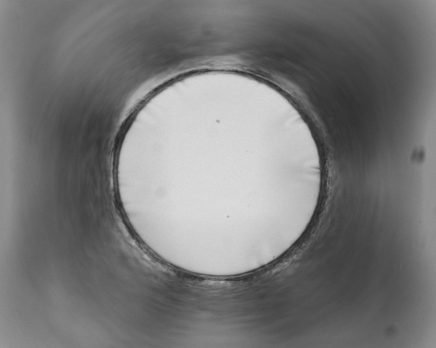 X0000112361176200909101249
