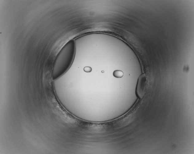 X0000112361177200909101249