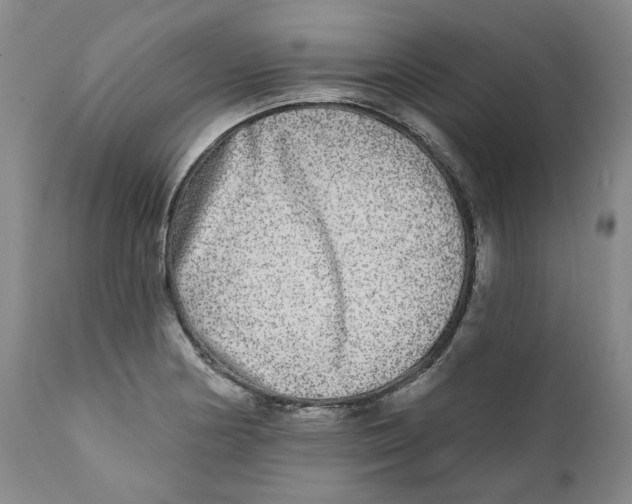 X0000112361178200909101249