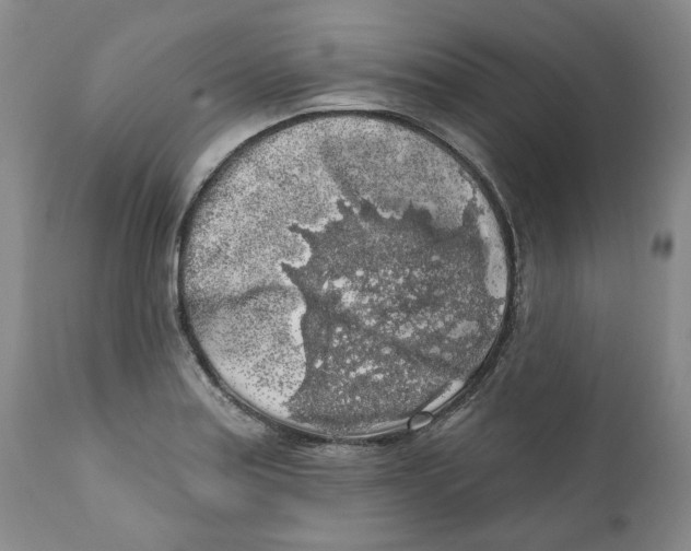 X0000112361179200909101249