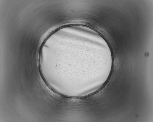 X0000112361180200909101249