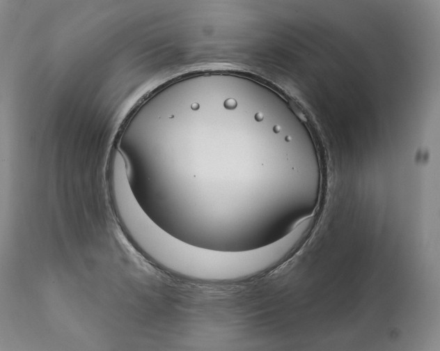 X0000112361181200909101249