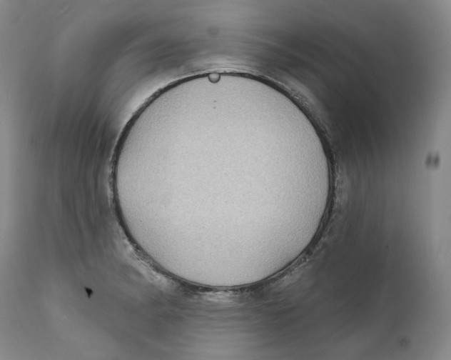 X0000112361182200909101249