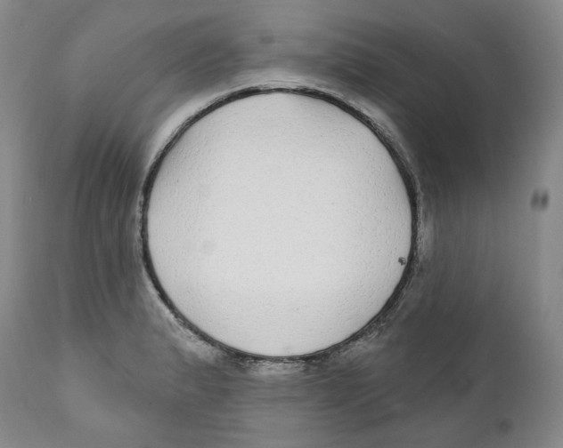 X0000112361183200909101249