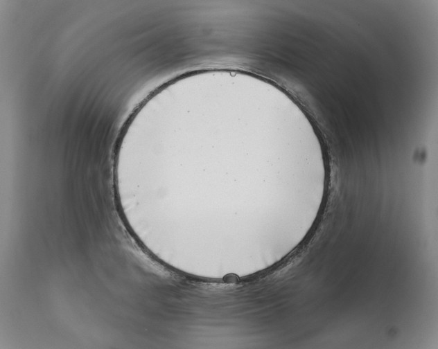 X0000112361184200909101249