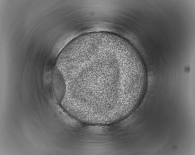 X0000112361185200909101249