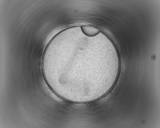 X0000112361186200909101249