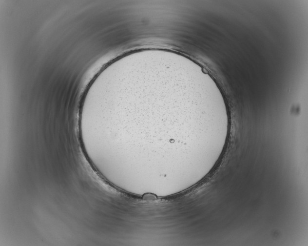 X0000112361188200909101249