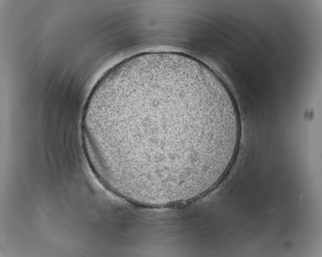 X0000112361189200909101249