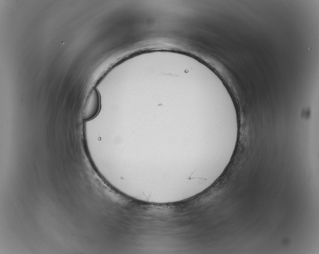 X0000112361191200909101249