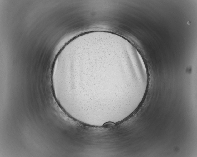 X0000112361192200909101248