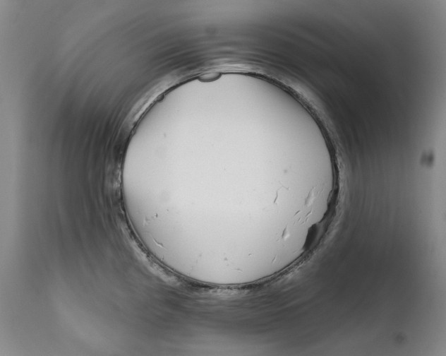 X0000112361193200909101248
