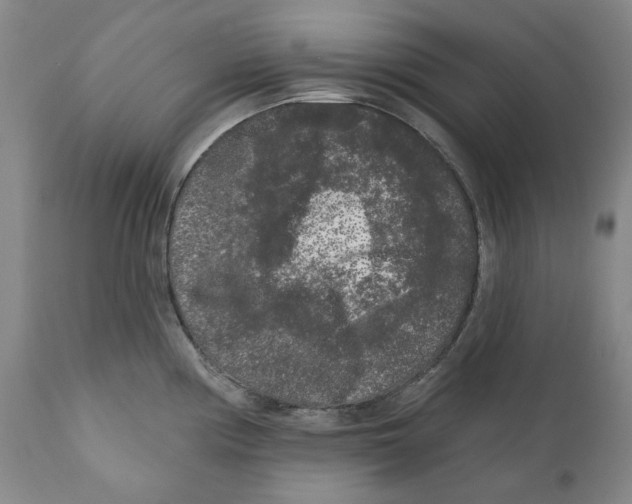 X0000112361194200909101248