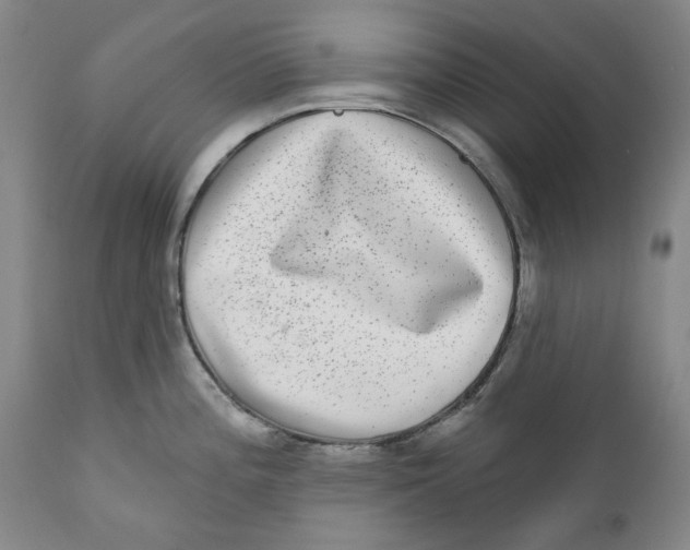 X0000112361196200909101248