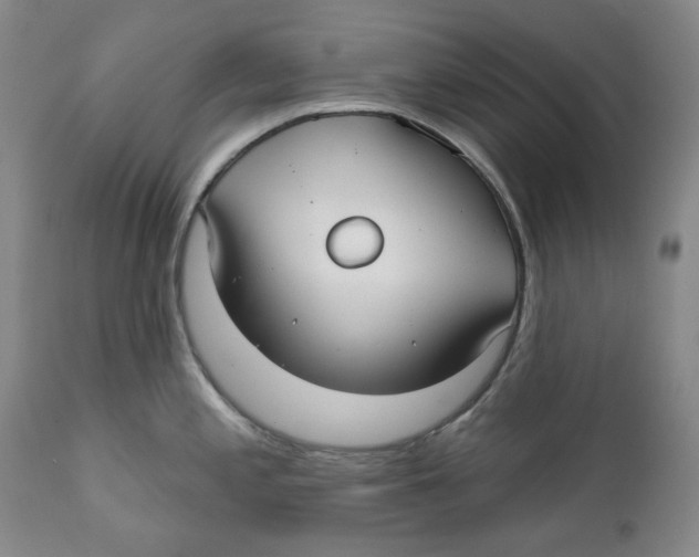 X0000112361197200909101248