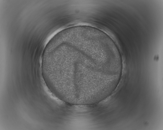 X0000112361198200909101248