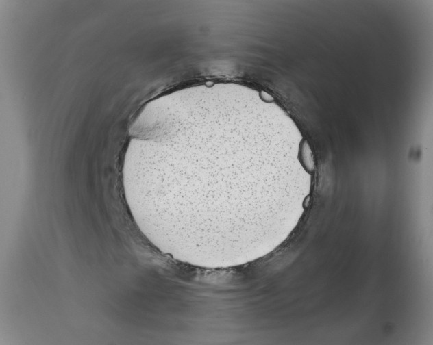 X0000112361201200909101248