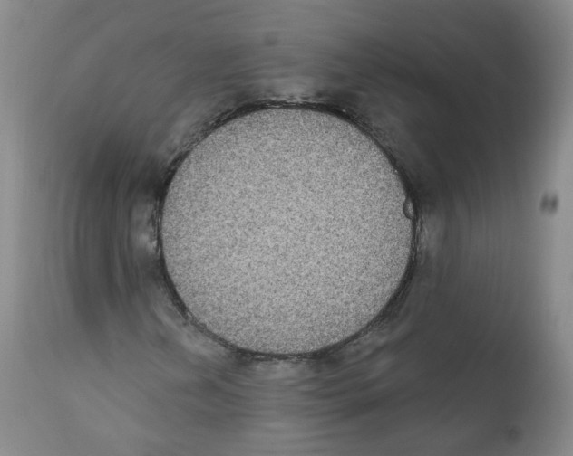 X0000112361202200909101248