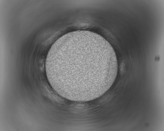 X0000112361204200909101248