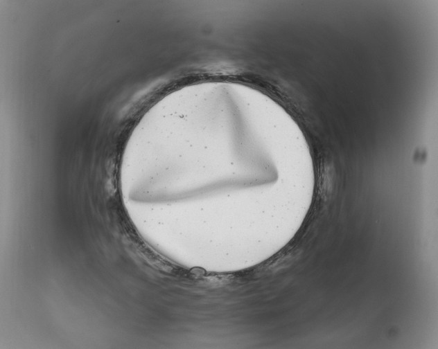 X0000112361205200909101248