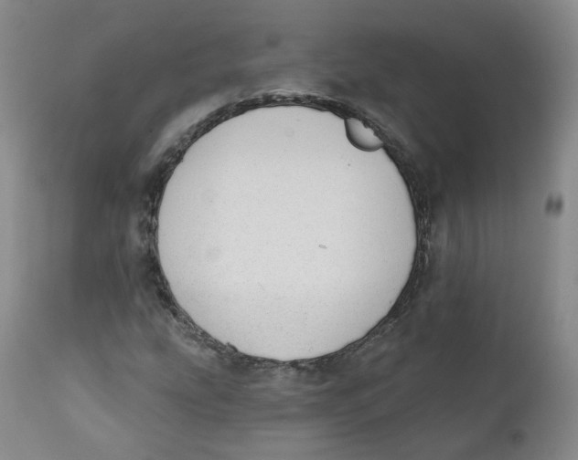 X0000112361207200909101248
