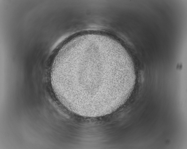 X0000112361208200909101248