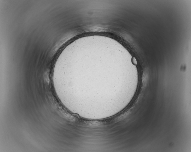 X0000112361209200909101248