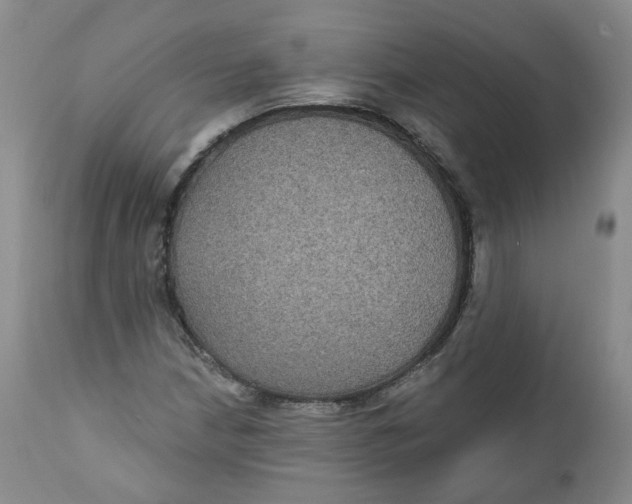 X0000112361210200909101248