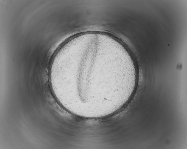 X0000112361212200909101248