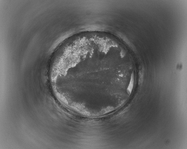 X0000112361213200909101248
