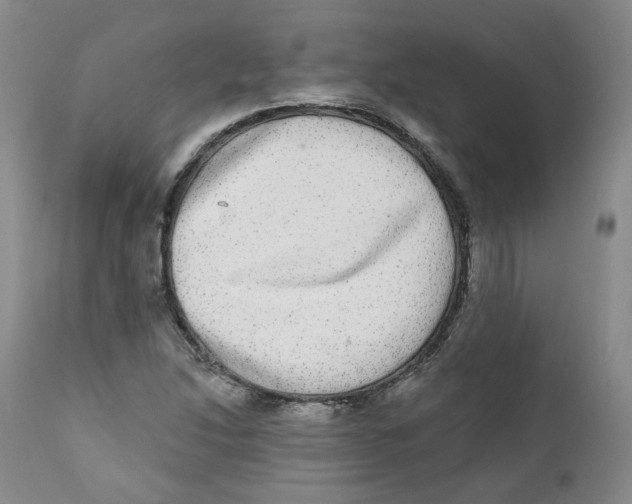 X0000112361214200909101248