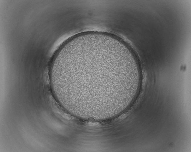 X0000112361215200909101248