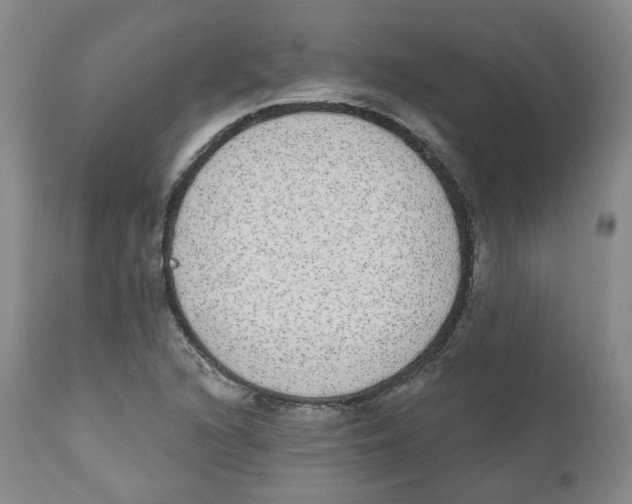 X0000112361216200909101248